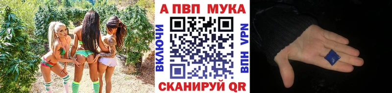 закладка  Великие Луки  A PVP СК 