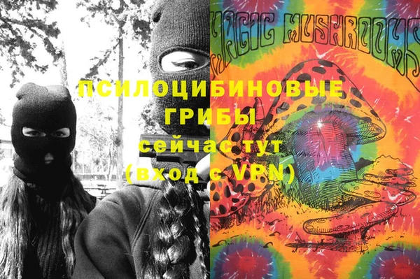 прущие крисы Осинники