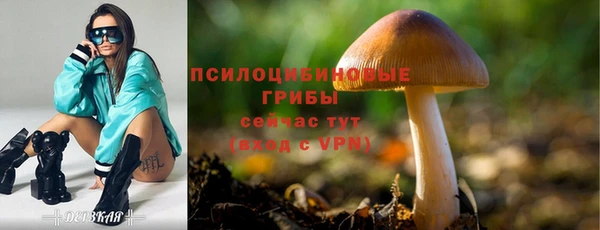 PSILOCYBIN Болохово