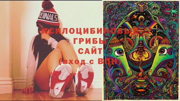 первитин Абаза