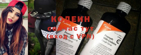 круглые Пересвет