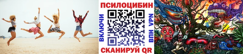 Галлюциногенные грибы Psilocybine cubensis  Великие Луки 