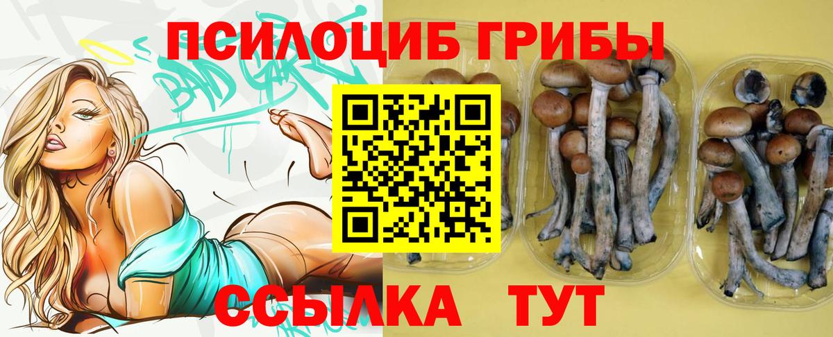 где купить наркоту  Вход с VPN  Великие Луки  Галлюциногенные грибы MAGIC MUSHROOMS 