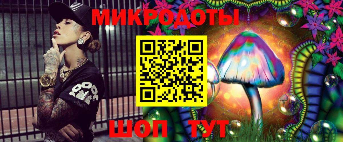 Псилоцибиновые грибы GOLDEN TEACHER  Великие Луки  Псилоцибиновые грибы Psilocybine cubensis 